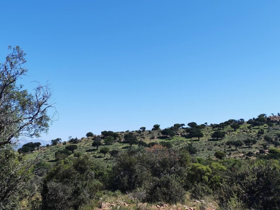 5 Bedroom Property for Sale in Steytlerville Eastern Cape